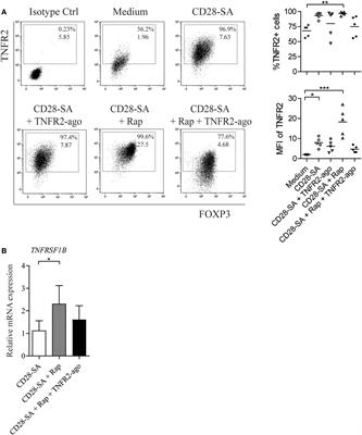 An Autocrine TNFα–Tumor Necrosis Factor Receptor 2 Loop Promotes Epigenetic Effects Inducing Human Treg Stability In Vitro